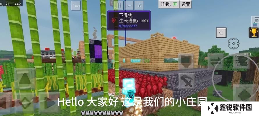 如何采集《我的世界》下界疣？（学会下界疣的获取方法，提高你的游戏玩法！）