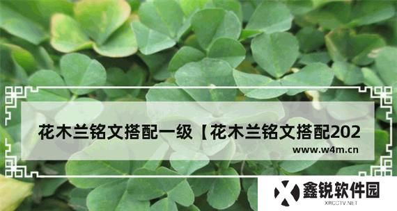 超萌木兰铭文出装攻略最新（打造无敌萌神！木兰铭文出装攻略一览）
