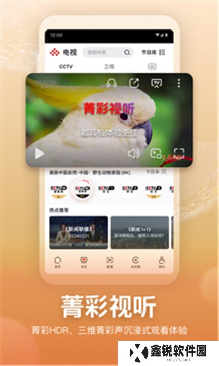 央视频app版下载