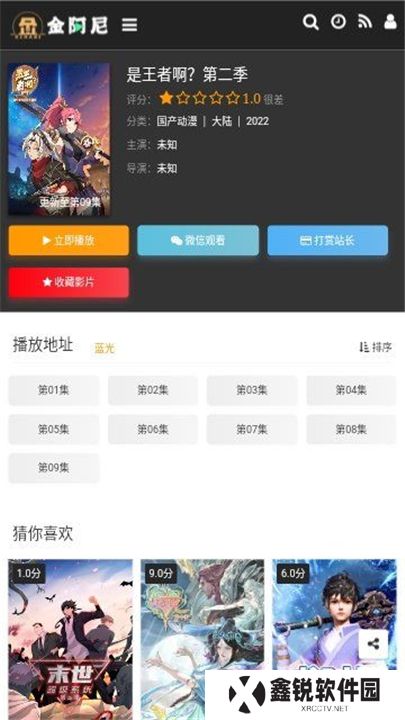 金阿尼动画