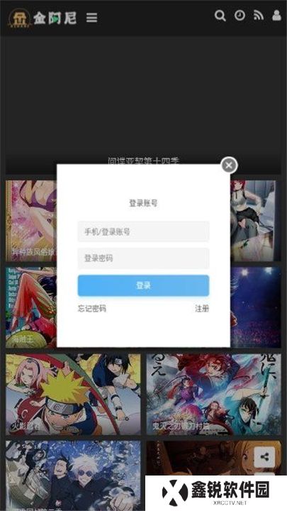 金阿尼动画