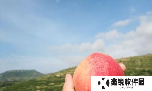 我的世界桃子怎么种植,Minecraft中桃子的种植与生成指南