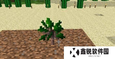 我的世界 树苗 怎么种,轻松培育茂盛大树