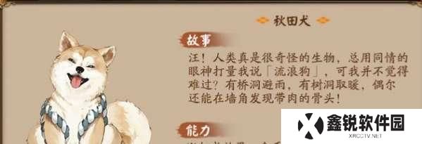 阴阳师秋田犬领取到什么,阴阳师宠物后院领养攻略
