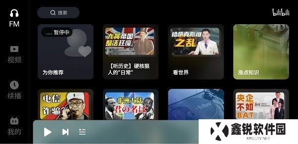 哔哩哔哩车载版
