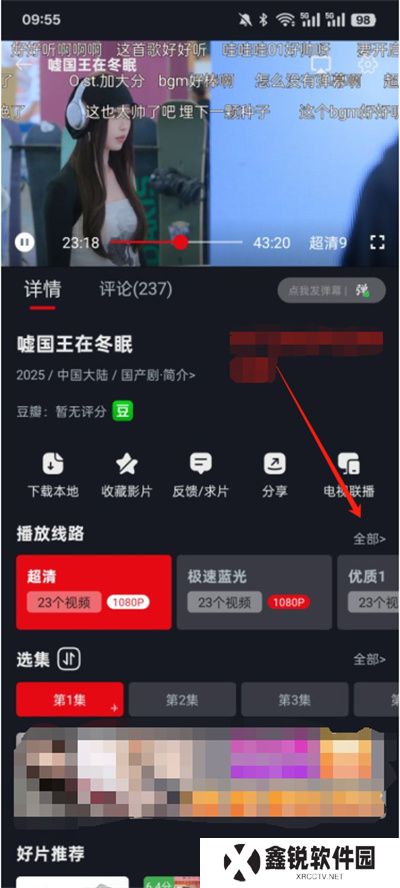 网飞猫纯净版