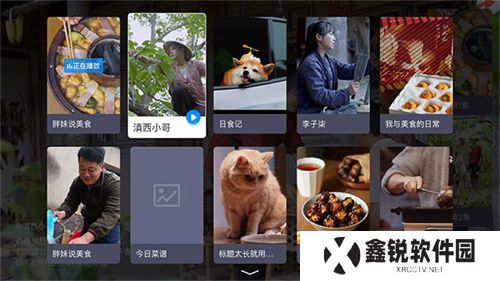 电视家电视版
