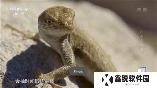 星火电视直播