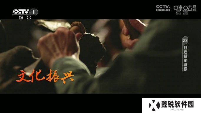 神鸟电视