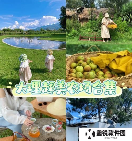 家庭农场游戏攻略（掌握种植、养殖技巧，成为顶级农场主）