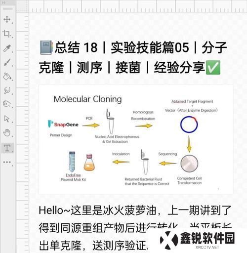 克隆装备技能选择攻略（充分利用克隆技能，打造最强装备）