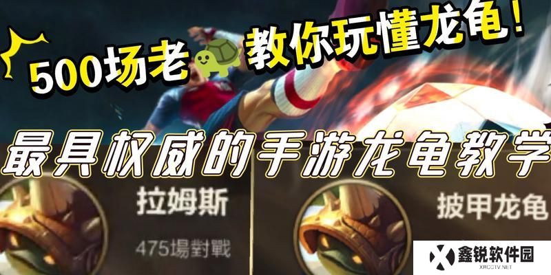 龙龟出装攻略（如何选择最佳装备打造超强龙龟阵容）